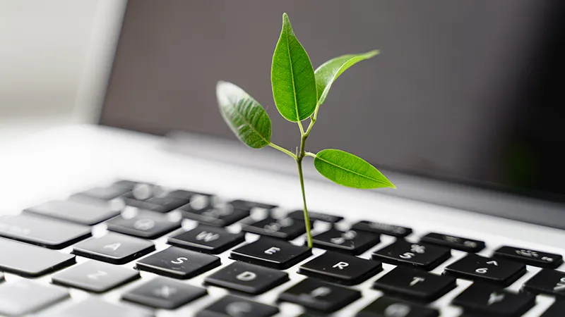 Sustainable Web Design: Creating a Greener Internet